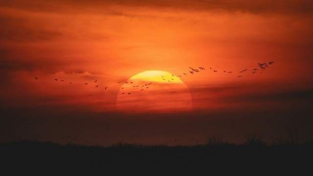 Магнітні бурі у серпні: науковці попереджають про нові геомагнітні збурення